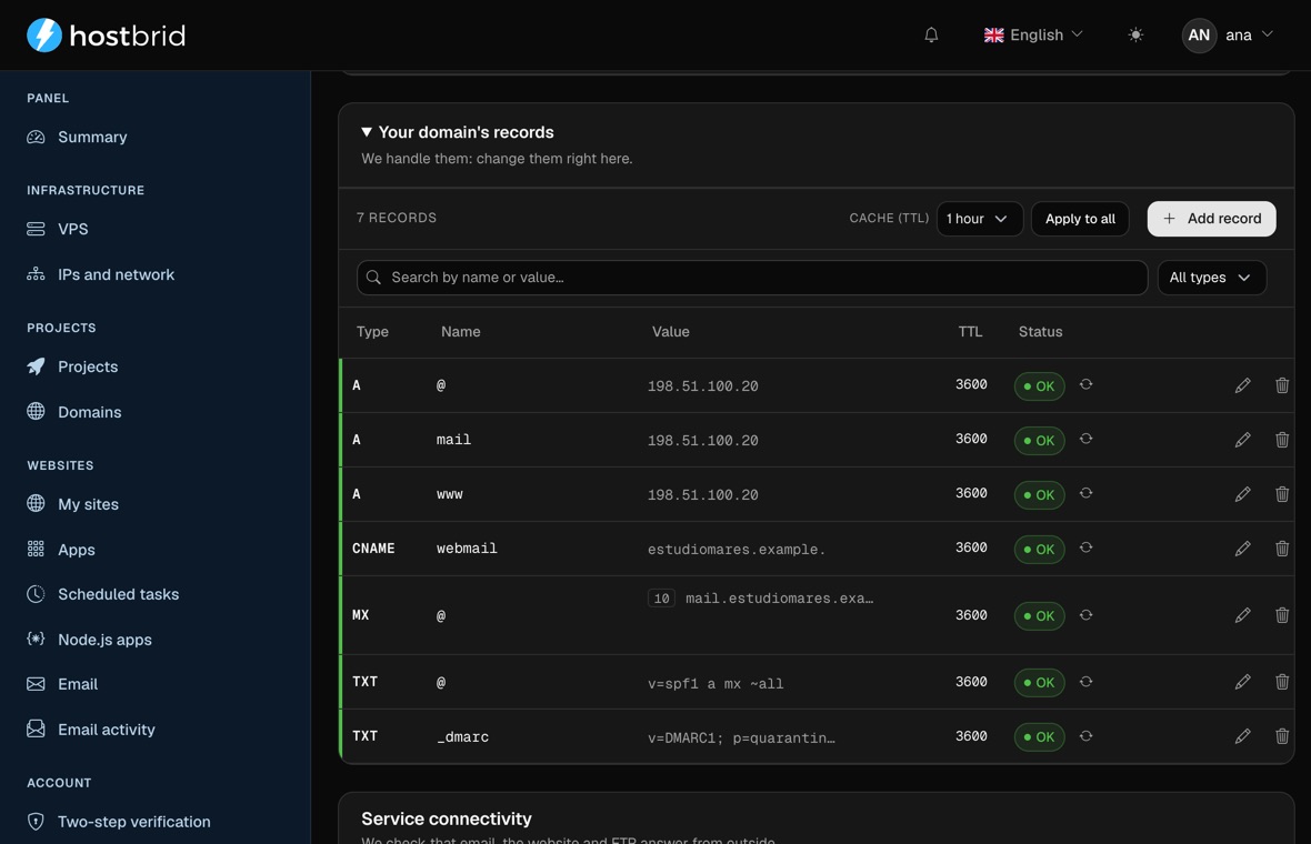 The panel’s DNS zone editor with the domain’s records: the A record of the server, of the mail host and of www, the webmail CNAME, the MX and two TXT records holding SPF and DMARC, each with its TTL and marked “OK”.