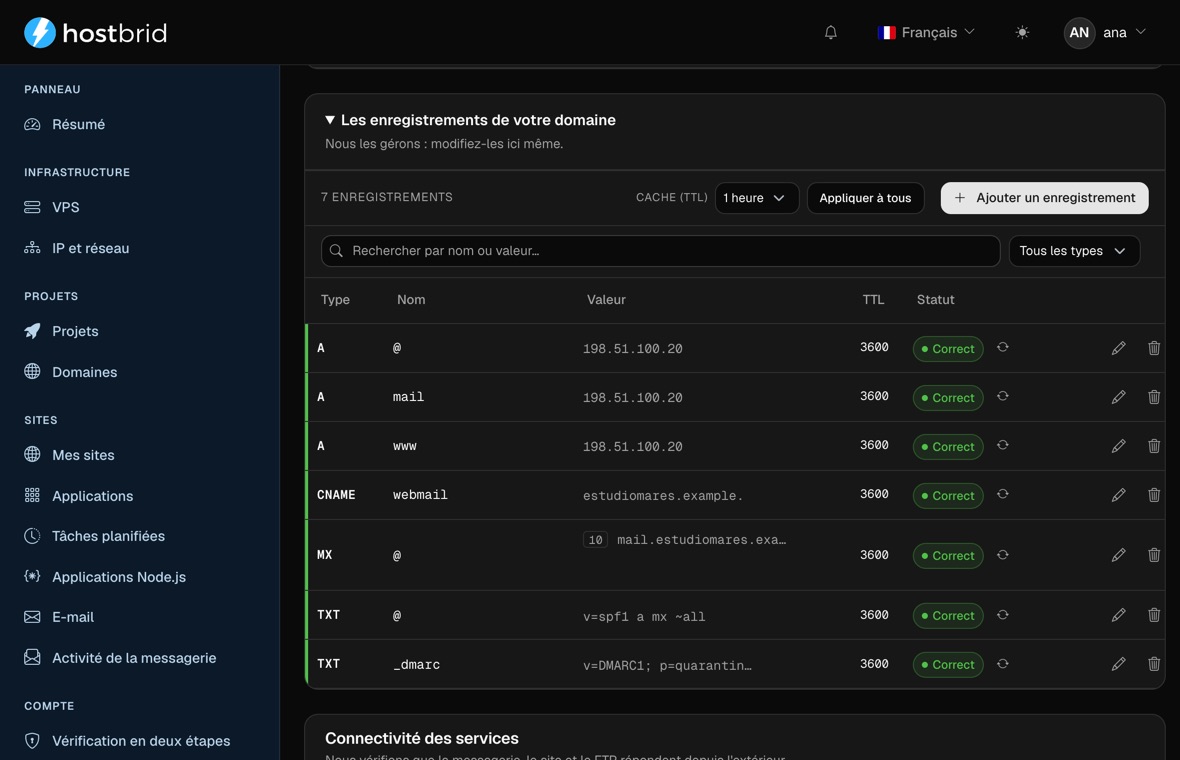 Éditeur de zone DNS du panneau avec sept enregistrements A, CNAME, MX et TXT marqués corrects, leur TTL et un bouton d’édition par ligne.