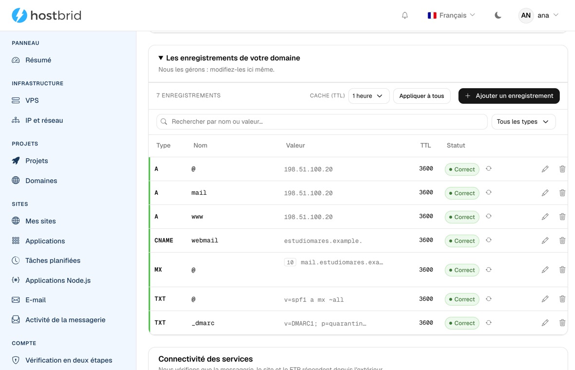 Éditeur de zone DNS du panneau avec sept enregistrements A, CNAME, MX et TXT marqués corrects, leur TTL et un bouton d’édition par ligne.