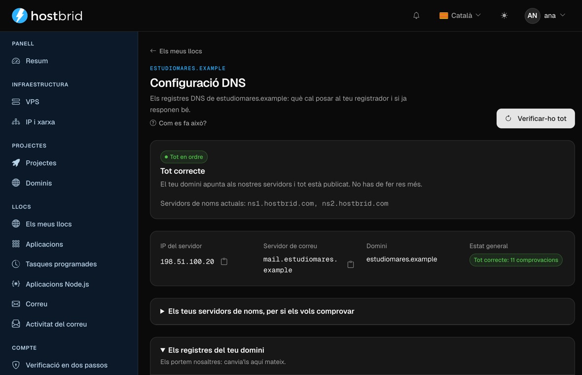 Assistent de DNS del panell amb el diagnòstic en verd: «Tot correcte», la IP a què respon el domini i el seu servidor de correu.