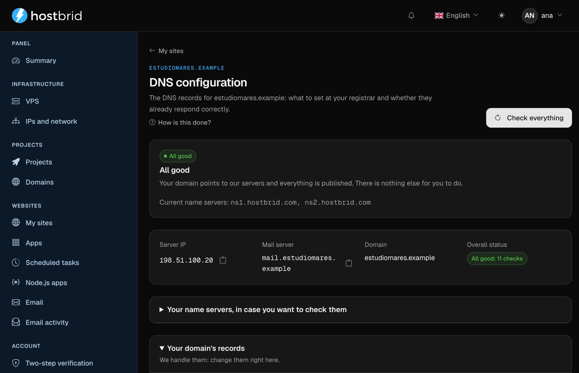 The panel’s DNS wizard with a green diagnosis: “All correct”, the IP the domain answers on and its mail server.