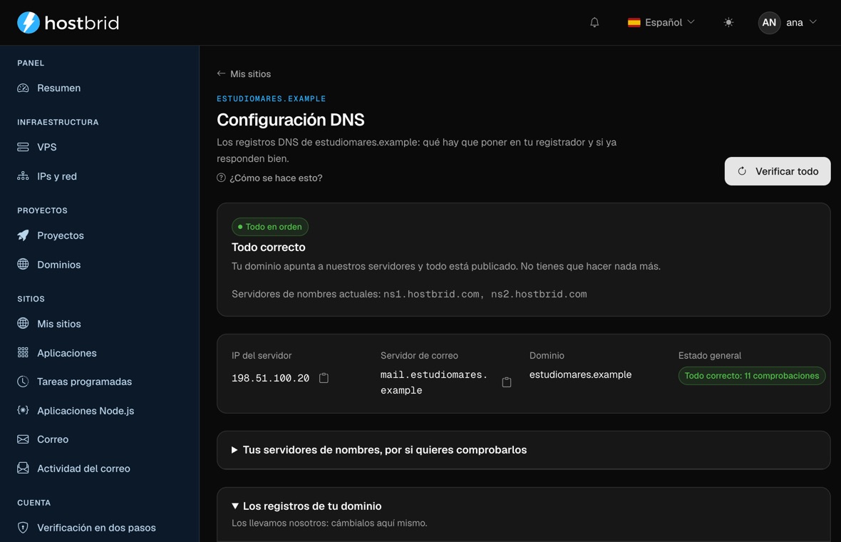 Asistente de DNS del panel con el diagnóstico en verde: «Todo correcto», la IP a la que responde el dominio y su servidor de correo.